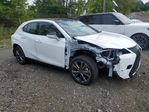 Lexus UX 2025