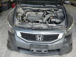 Honda Accord 2009