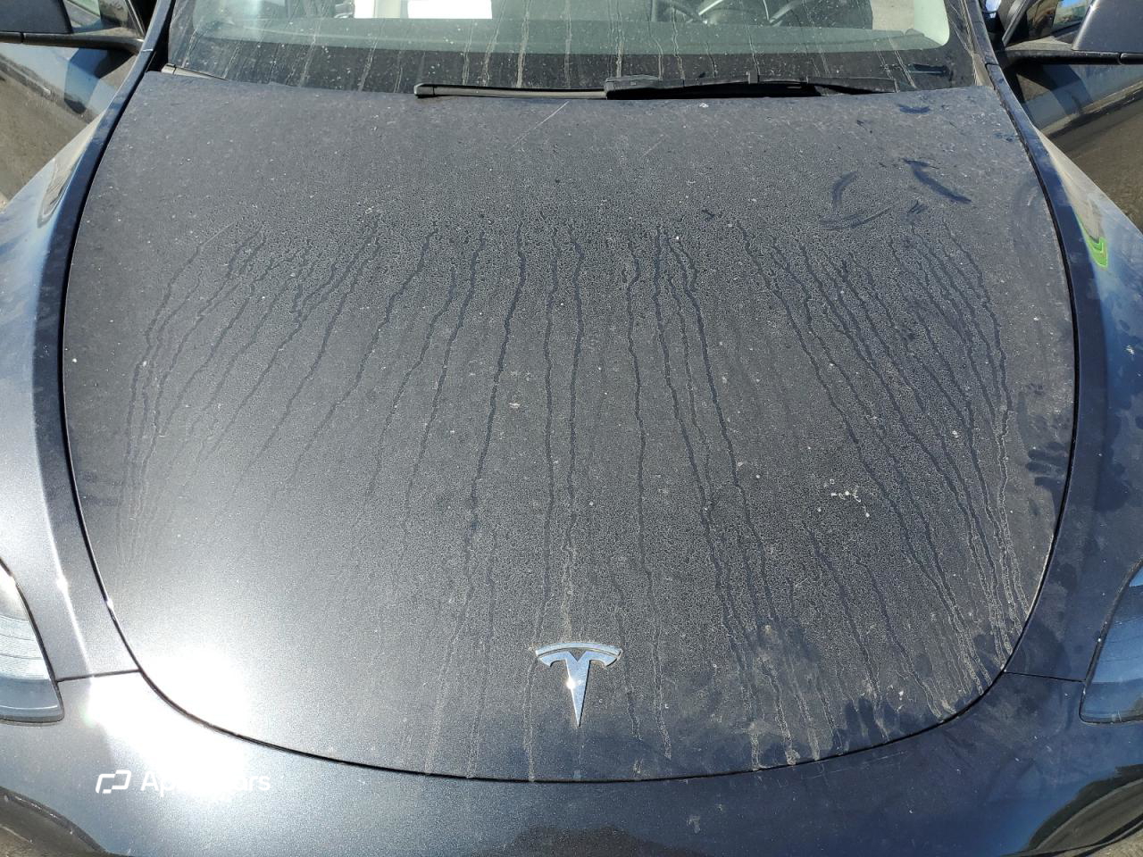 Tesla Model Y 2025
