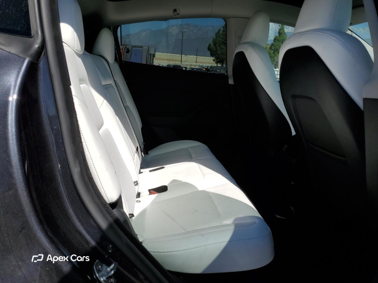 Tesla Model Y 2025