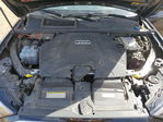 Audi Q7 2020