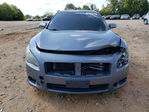 Nissan Maxima 2011
