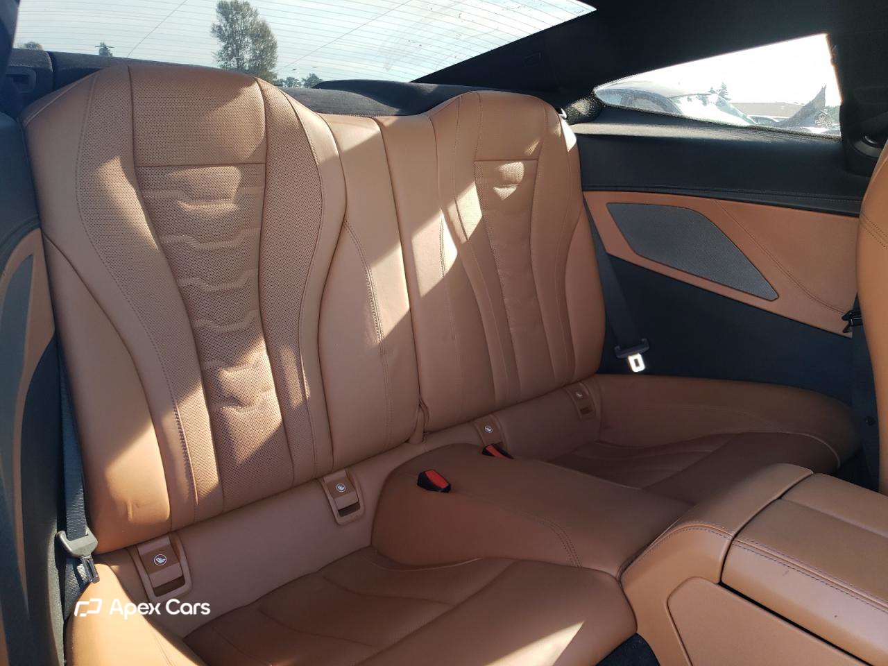 BMW M8 2019