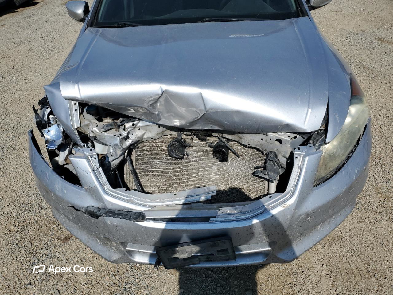 Honda Accord 2011