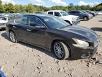 Nissan Maxima 2010