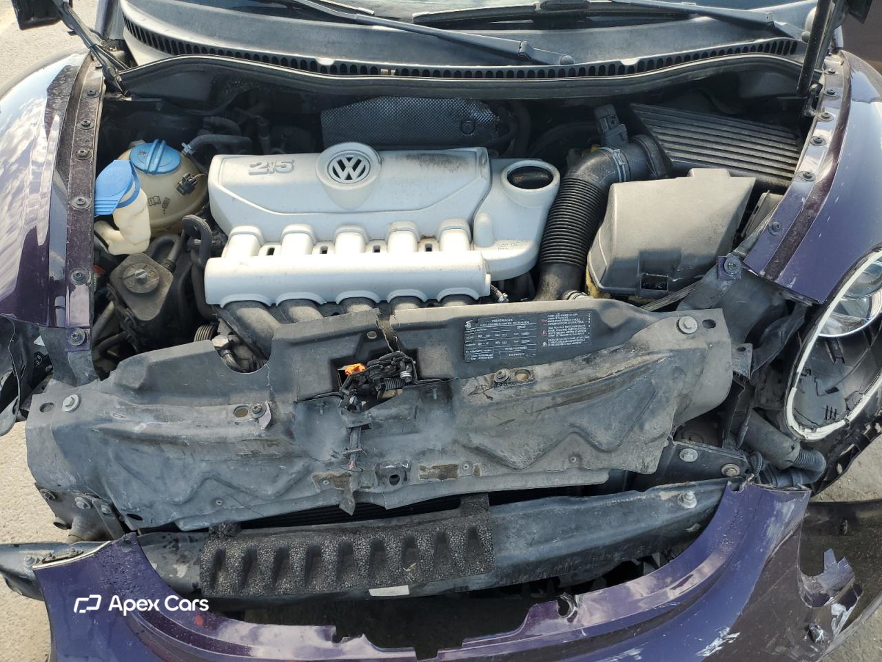 Volkswagen Beetle 2009