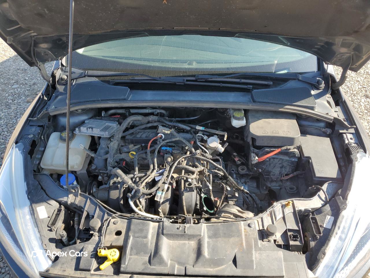 Ford Focus 2018