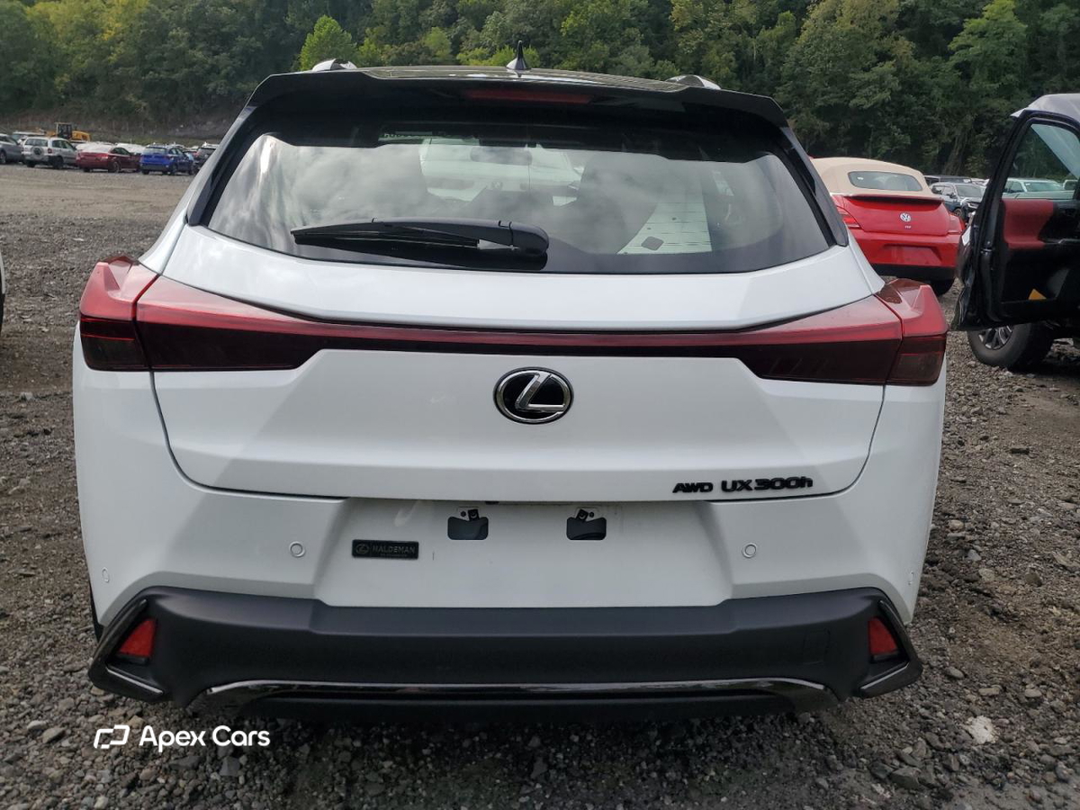 Lexus UX 2025