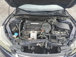 Honda Accord 2013