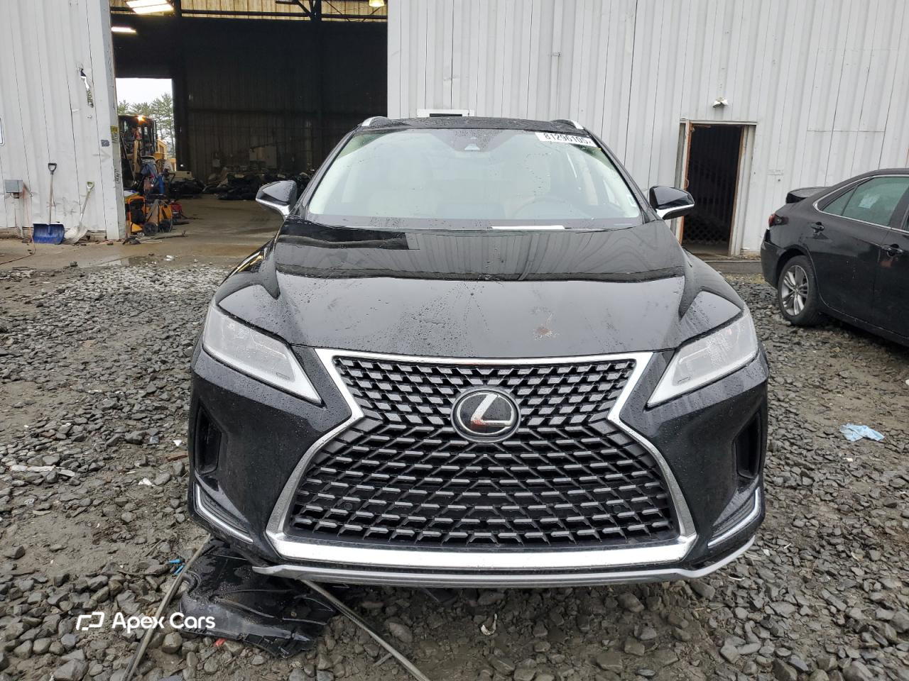 Lexus RX 2021