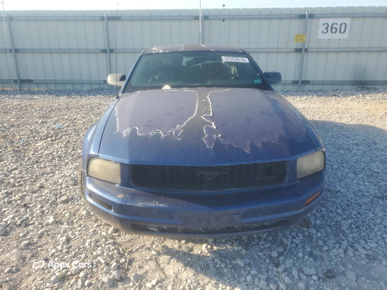 Ford Mustang 2009