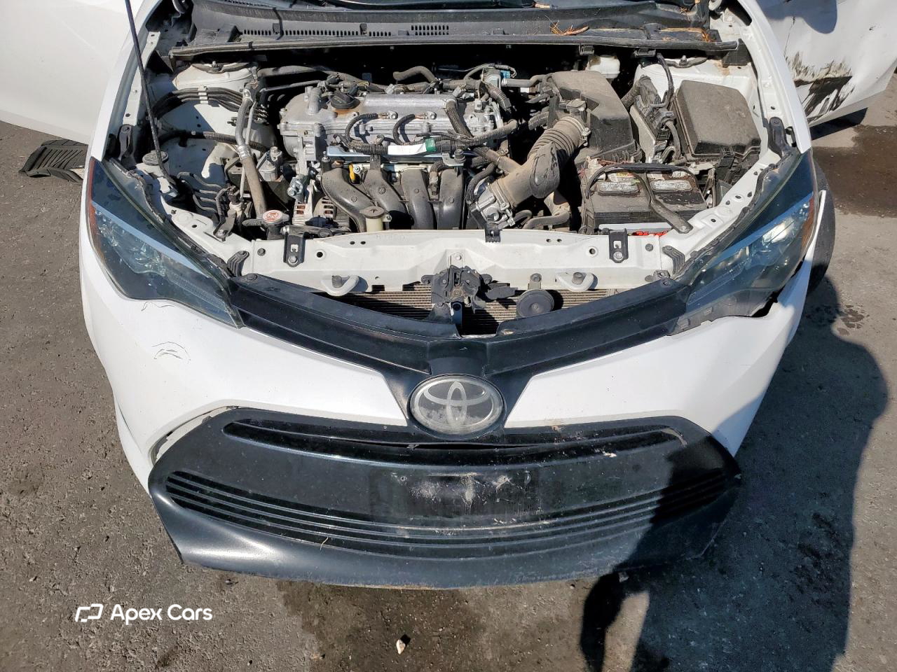 Toyota Corolla 2019