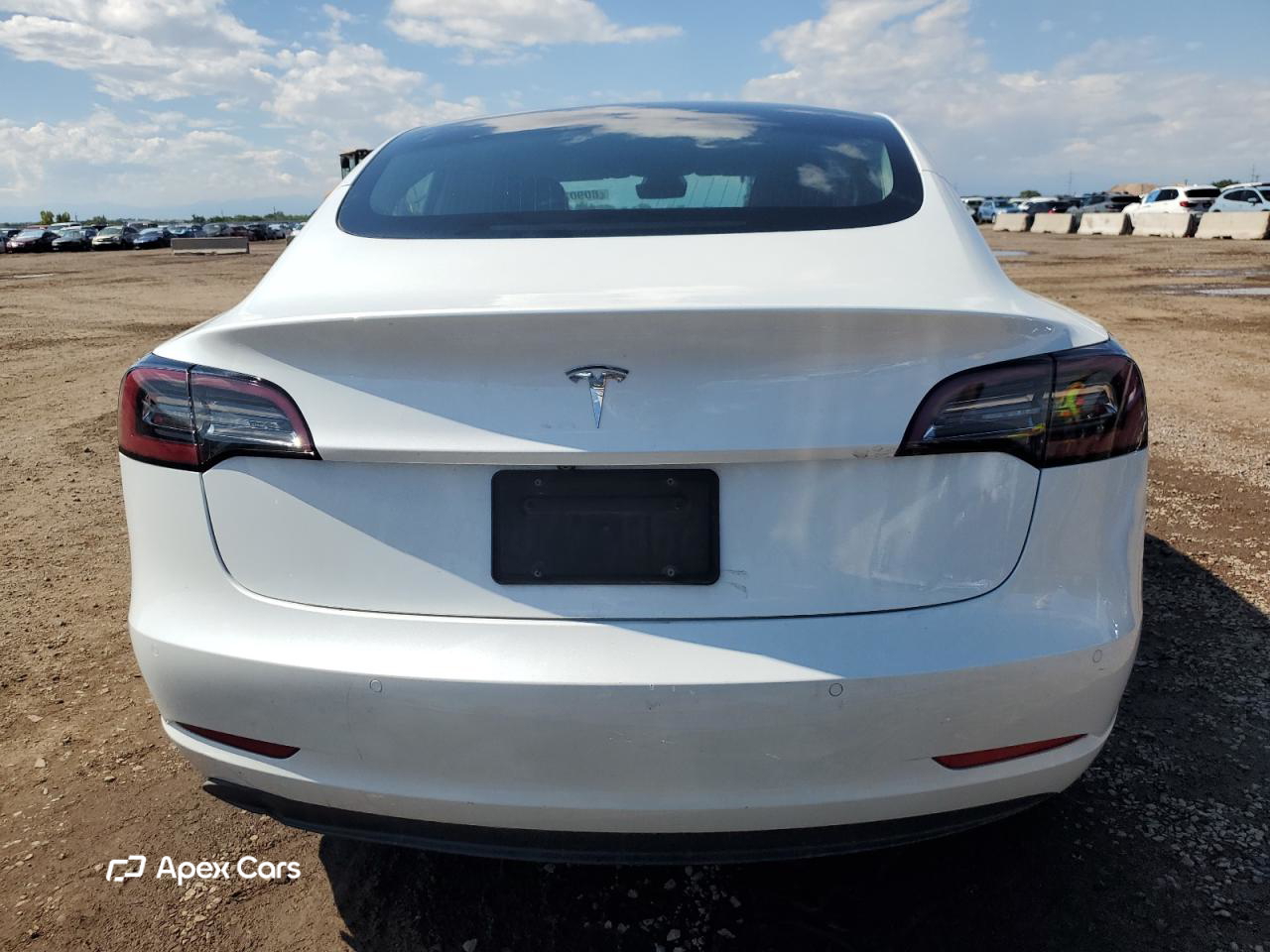 Tesla Model 3 2020