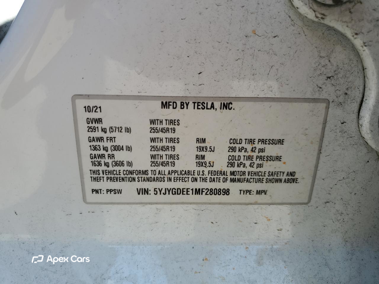 Tesla Model Y 2021