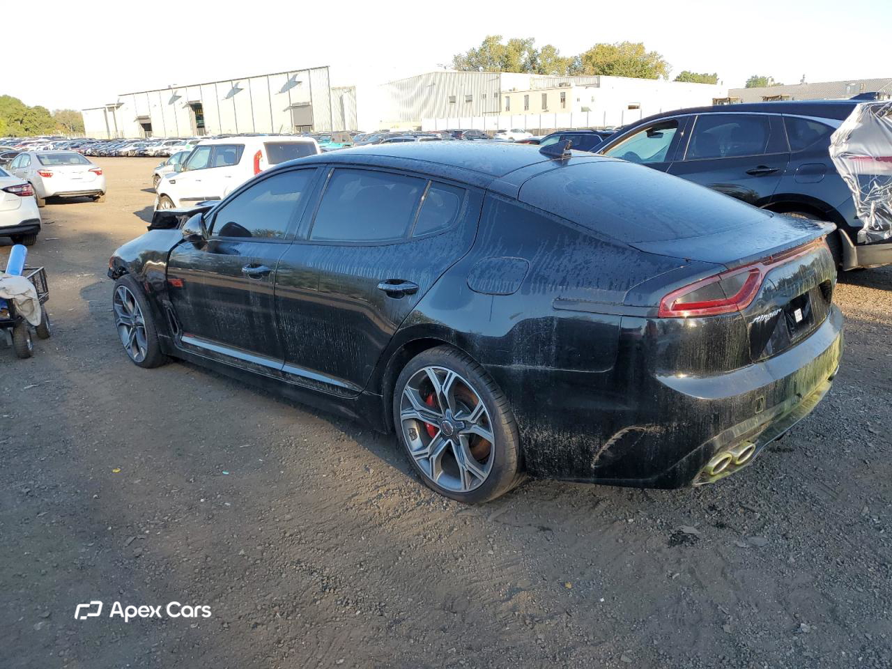 Kia Stinger 2019