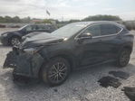 Lexus NX 2025