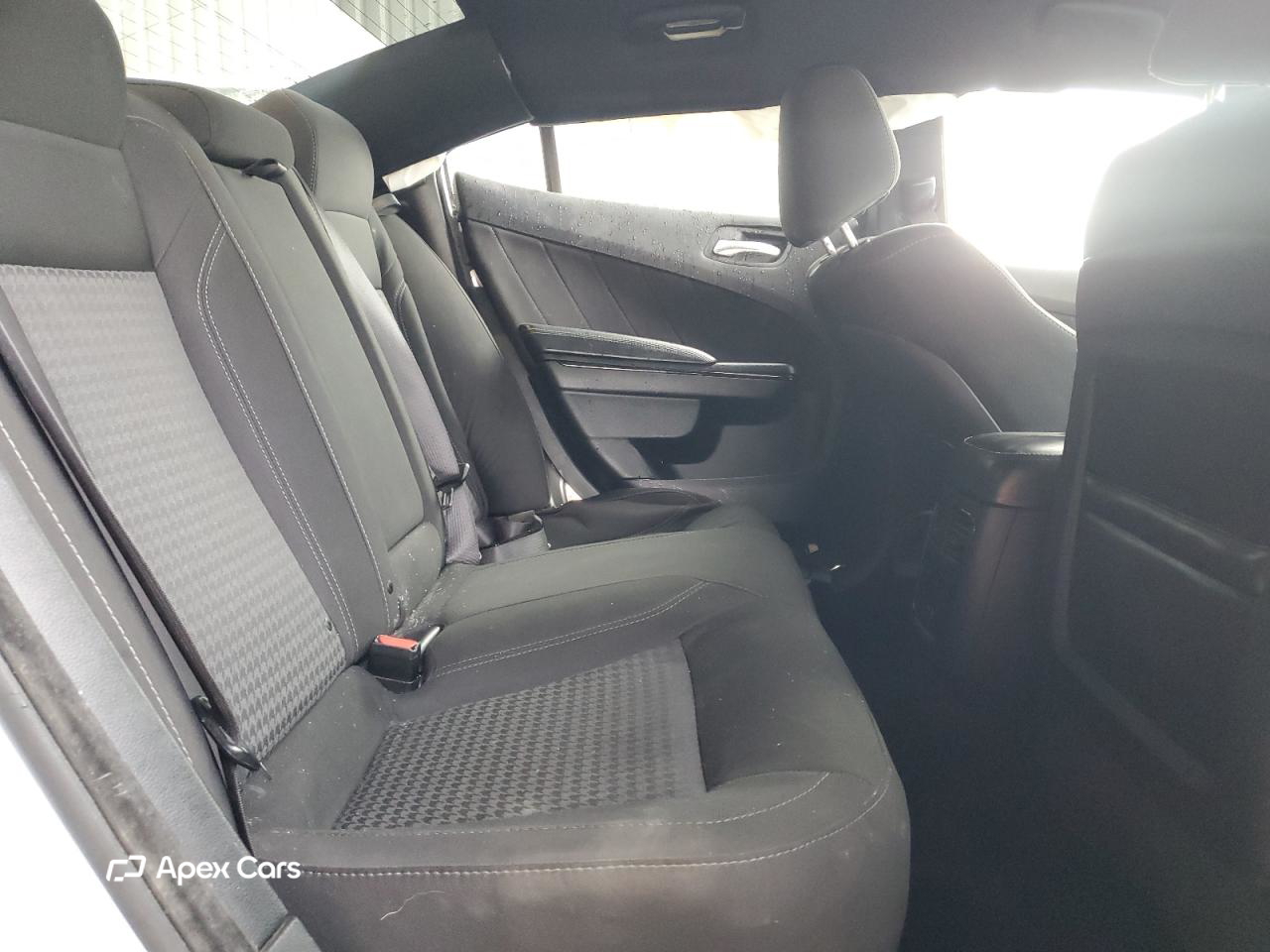 Dodge Charger 2019