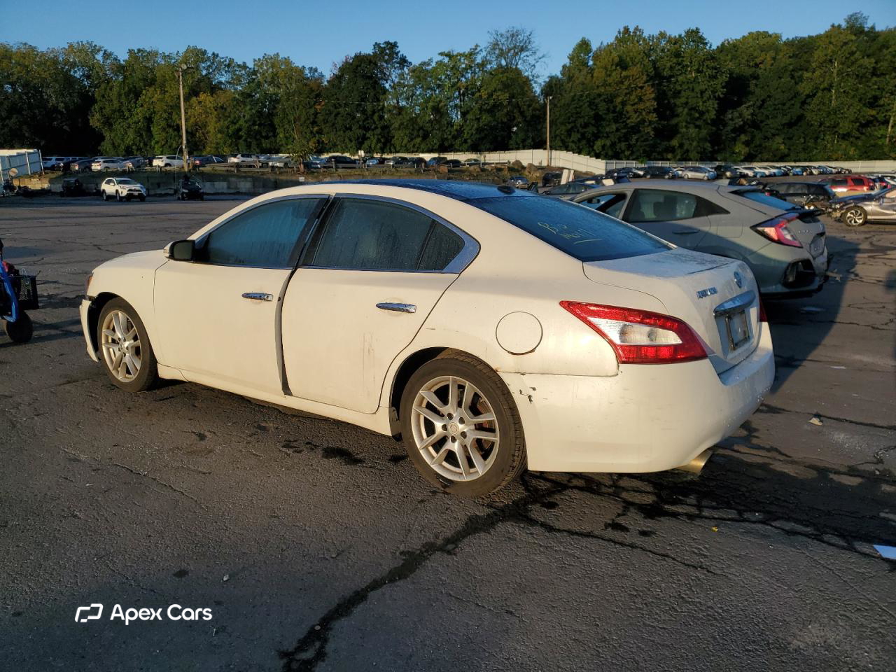 Nissan Maxima 2011