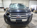 Ford Edge 2013