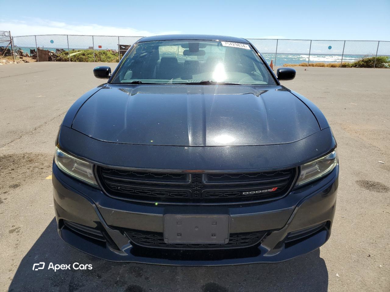 Dodge Charger 2019