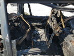 BMW X7 2024