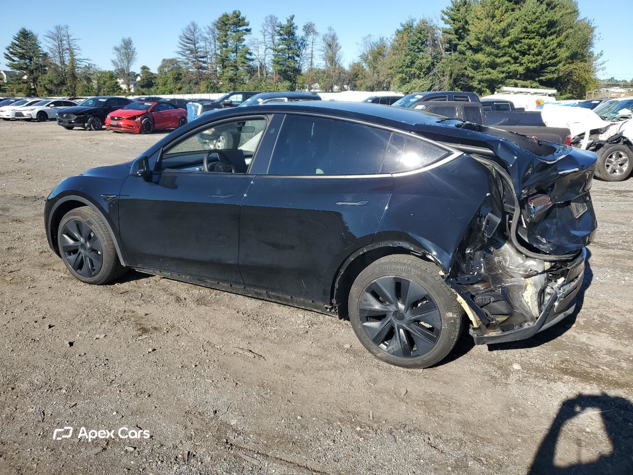 Tesla Model Y 2024