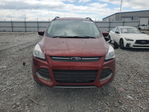 Ford Escape 2015