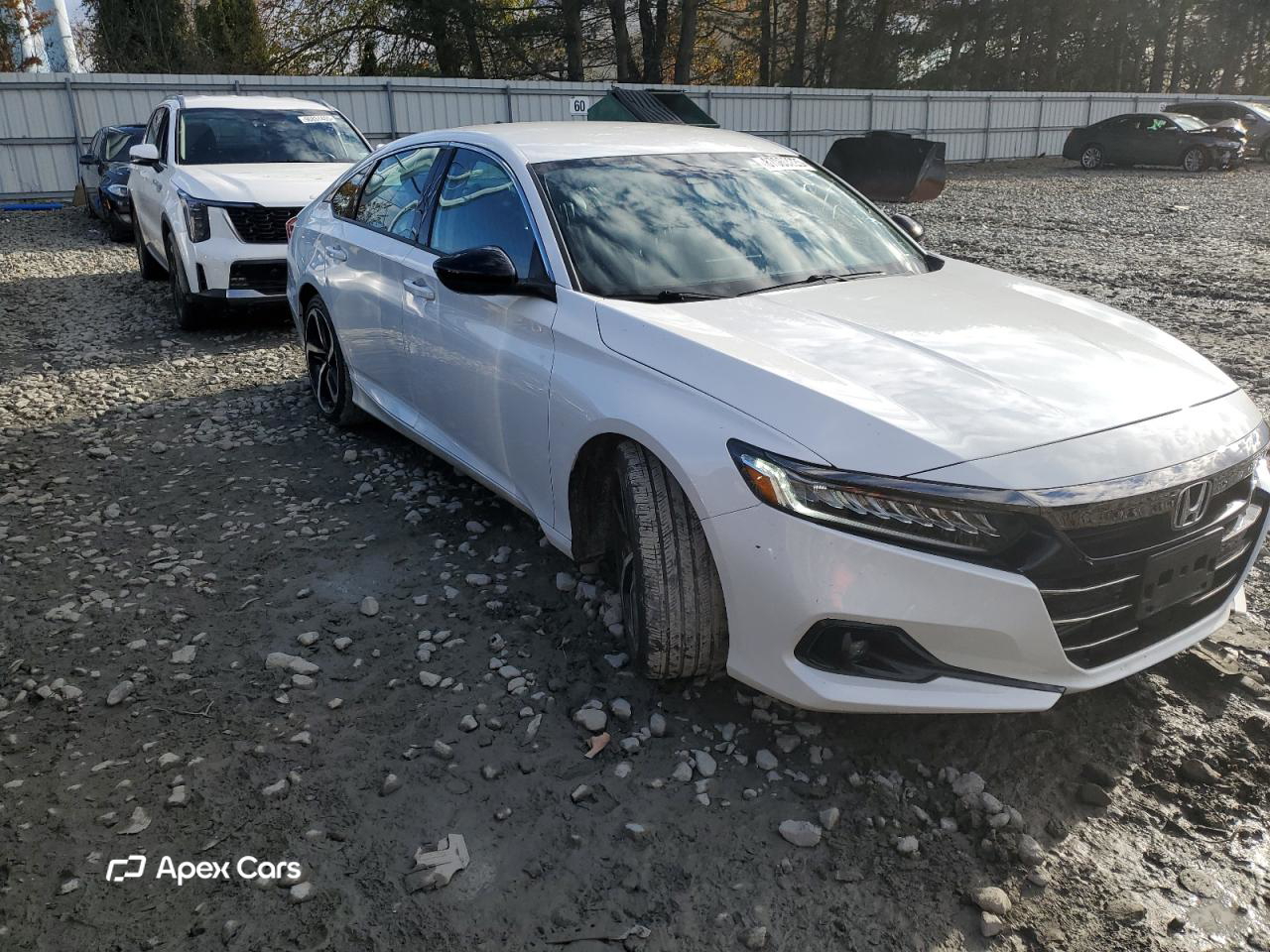 Honda Accord 2021