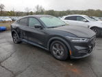 Ford Mustang Mach-E 2022