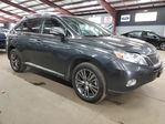 Lexus RX 2010