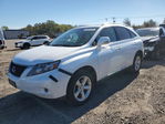 Lexus RX 2010