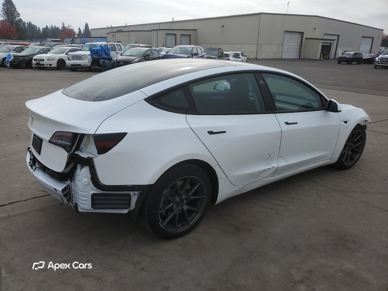Tesla Model 3 2023