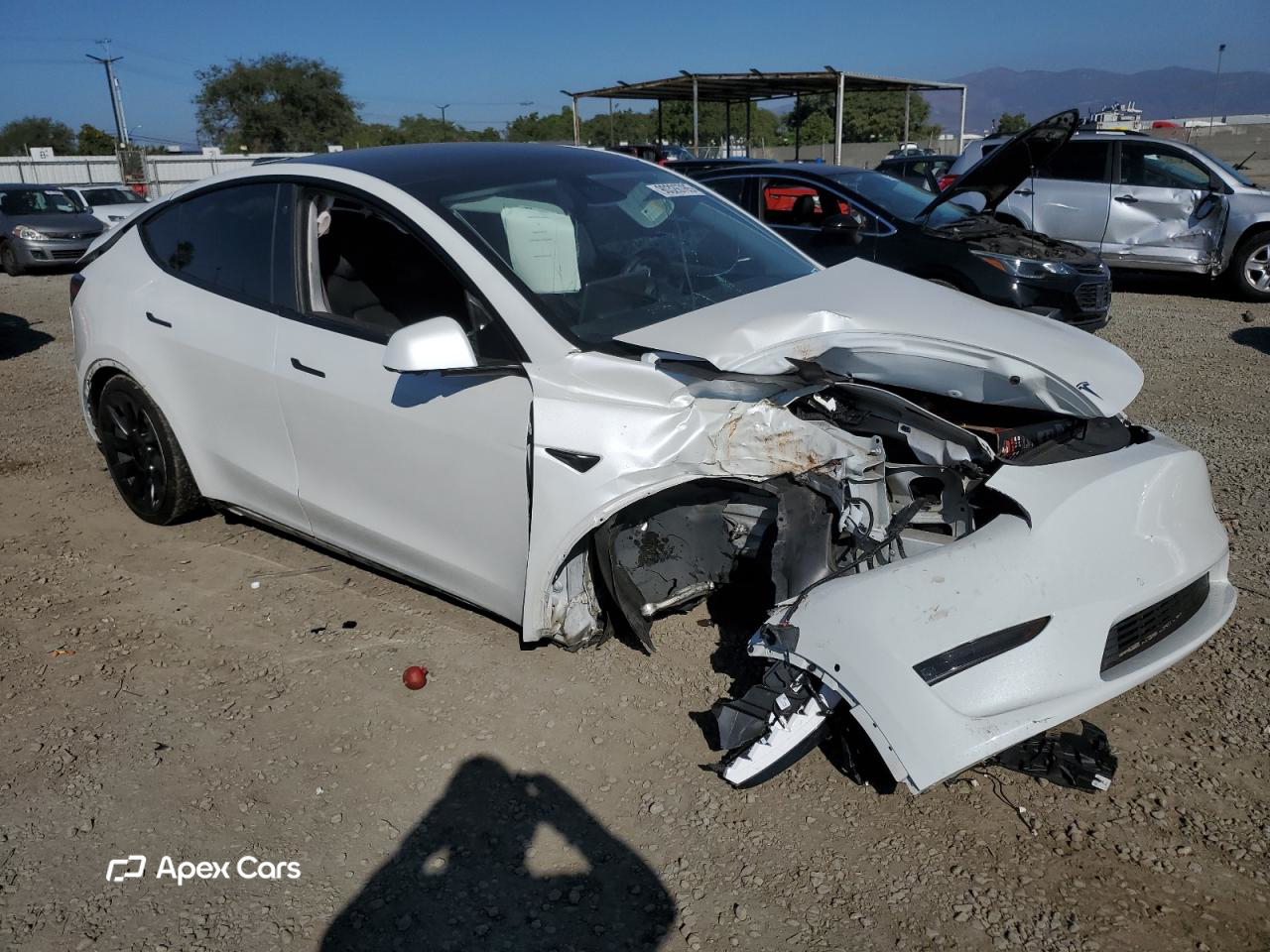 Tesla Model Y 2021