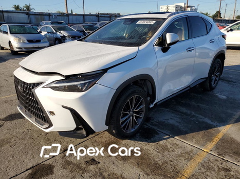 Lexus NX 2024 - Image 1 of 13