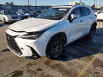 Lexus NX 2024