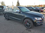 Audi SQ5 2016