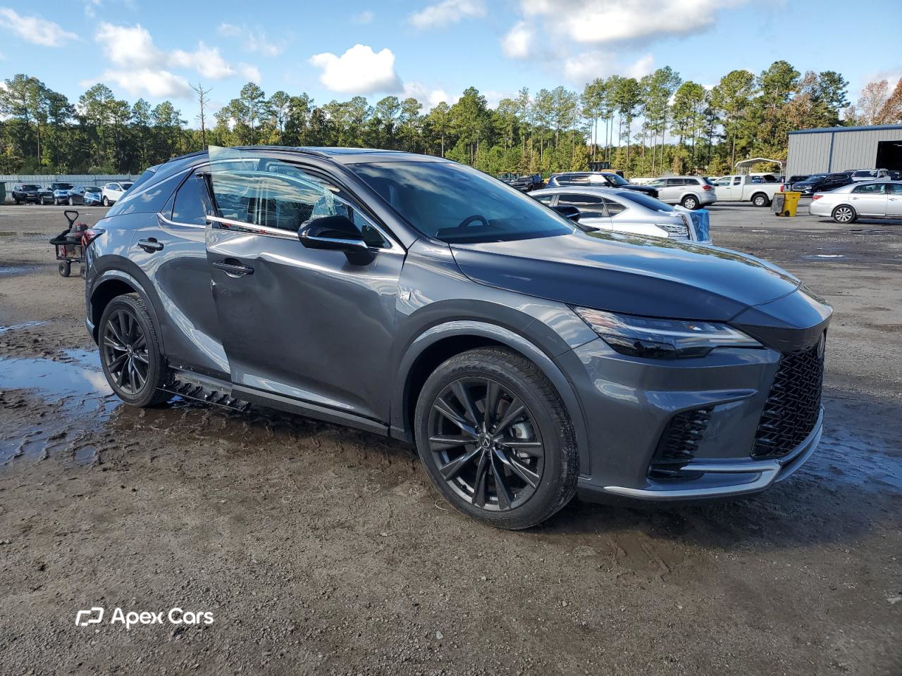 Lexus RX 2025