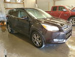 Ford Escape 2013