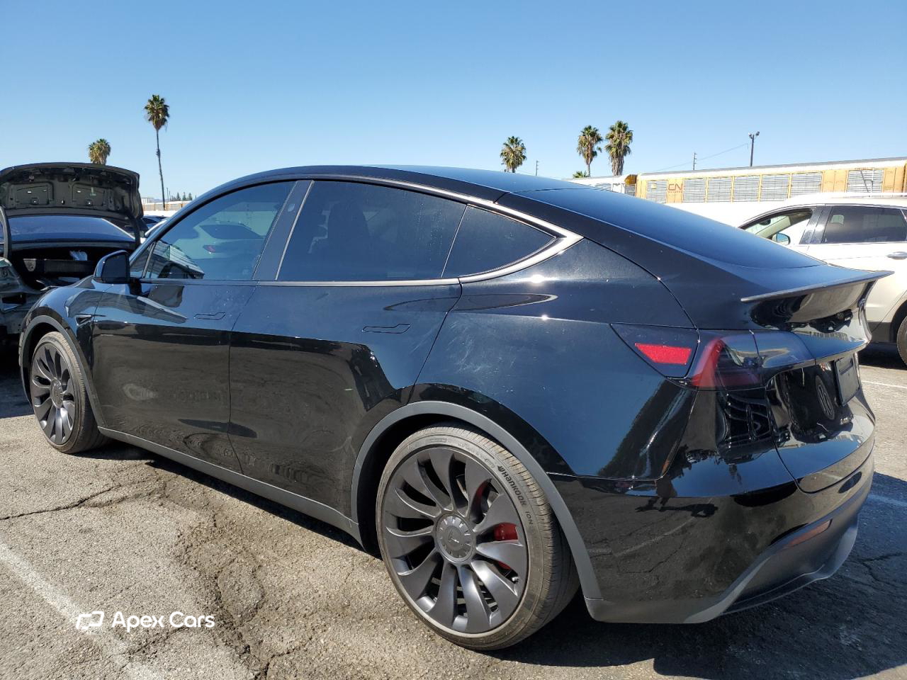 Tesla Model Y 2024