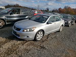 Honda Accord 2010