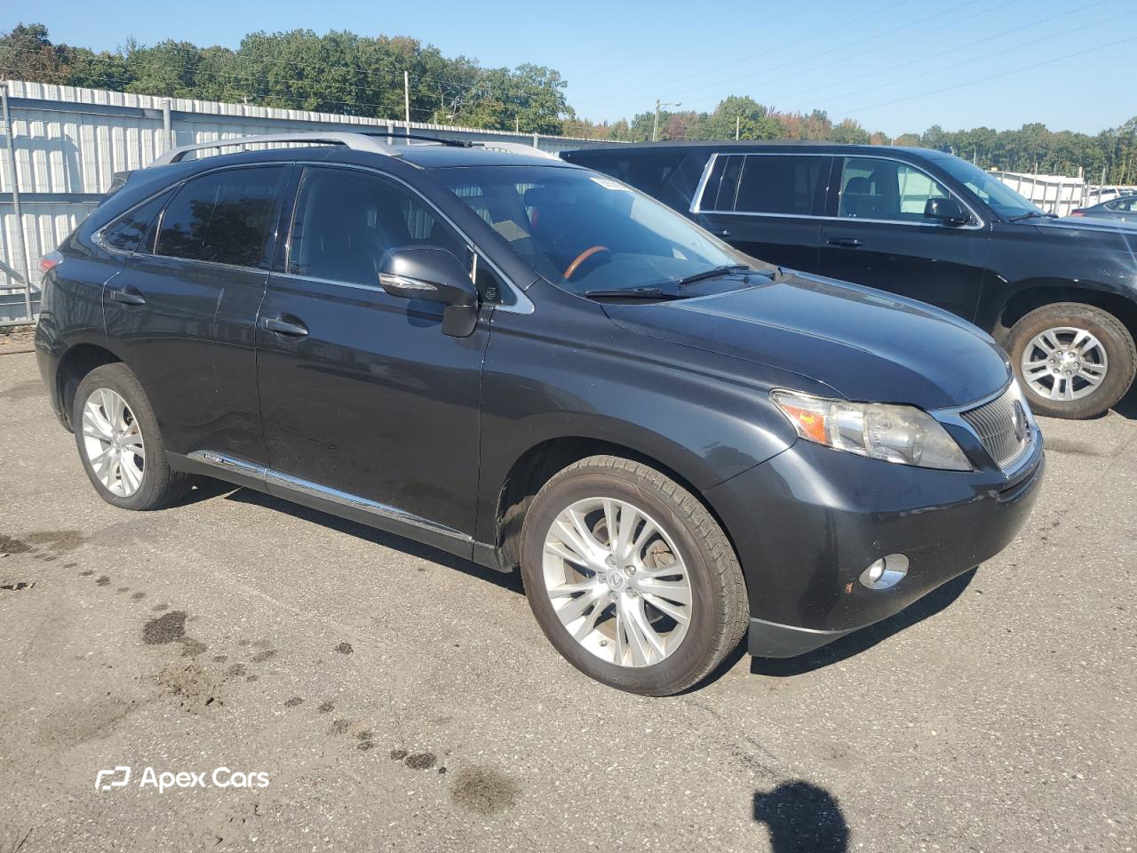 Lexus RX 2010