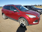 Ford Escape 2015