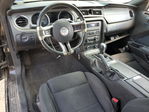 Ford Mustang 2013