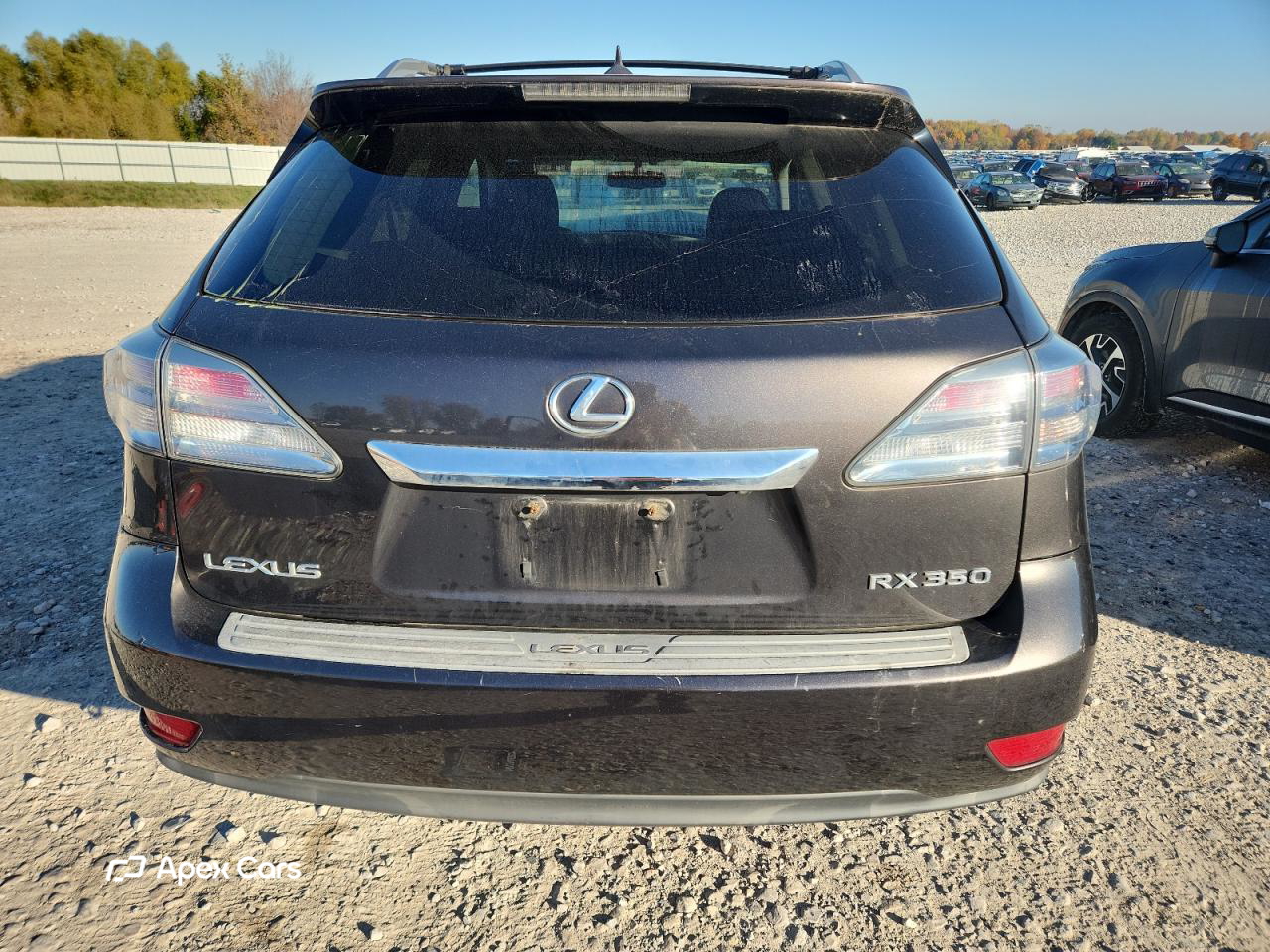 Lexus RX 2010