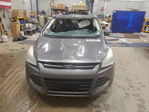 Ford Escape 2013