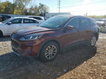 Ford Escape 2021