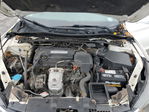 Honda Accord 2013