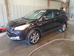 Ford Escape 2013