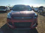 Ford Escape 2016
