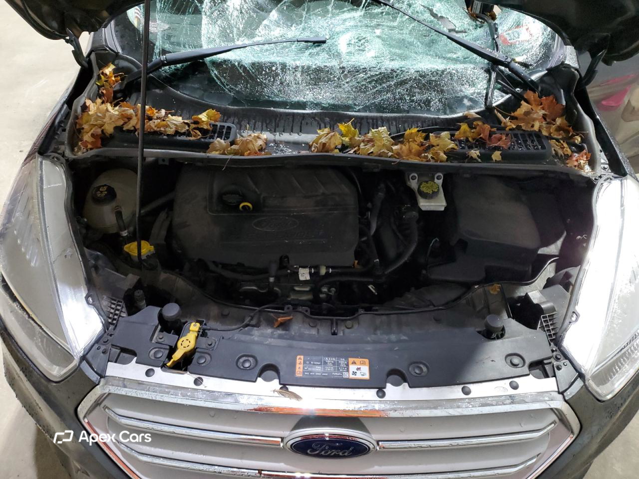 Ford Escape 2018